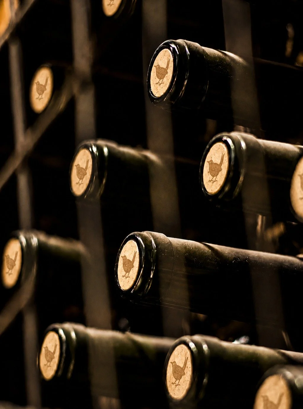 A brand is more than a logo. It's a story rooted in place.

We're drawing inspiration from the winery's name, the rugged beauty of the Texas Hill Country, native flora, limestone landscapes, and the moments that make a glass of wine feel like an expe