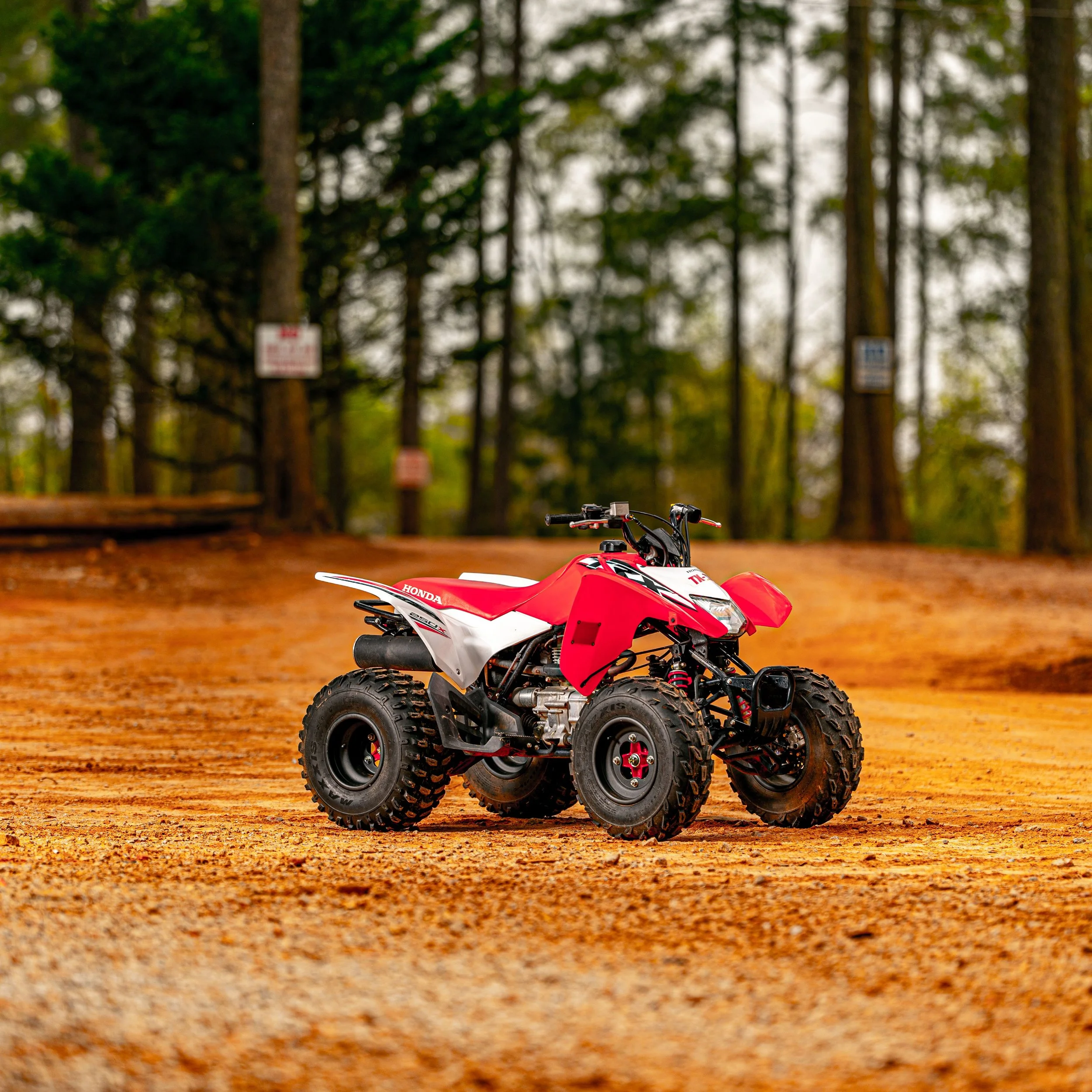 Honda TRX 250 ATV Rental