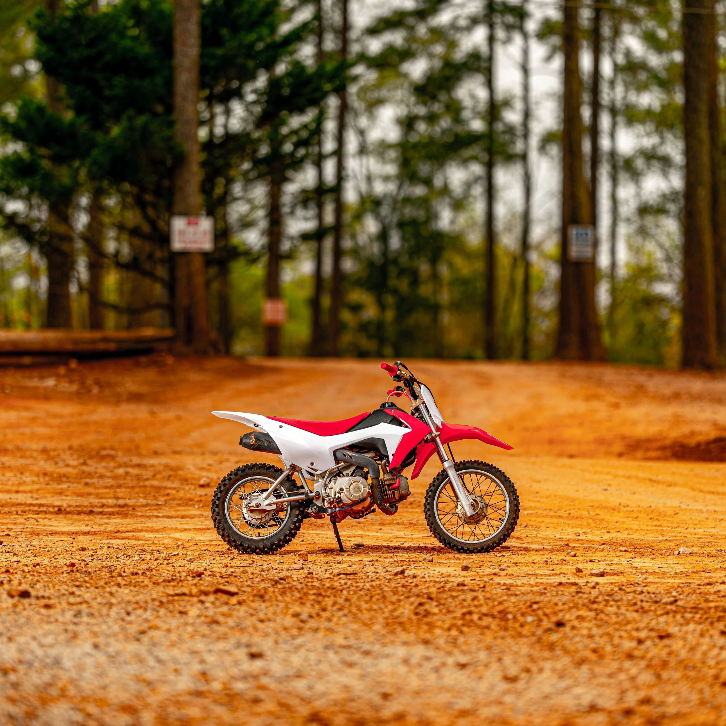 Honda CRF 110 Dirt Bike Rental