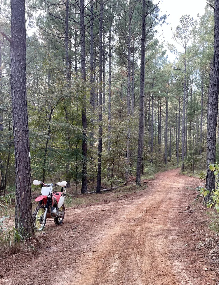 Georgia Off-Road Rentals | Rent. Ride. Explore Now