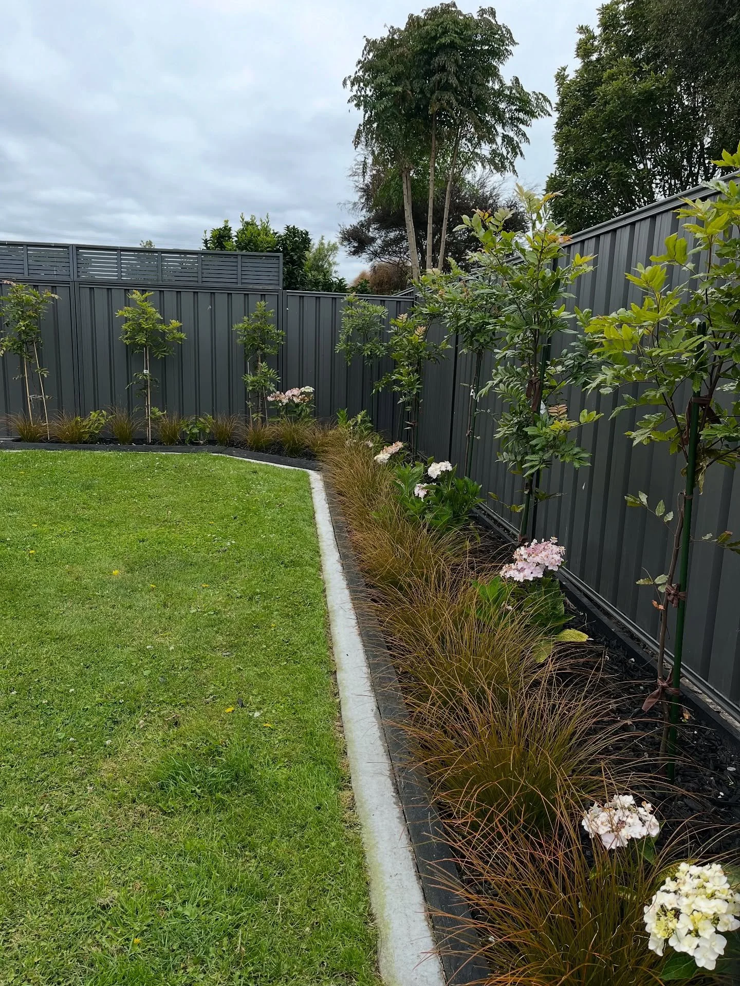 Well maintained garden with lawn, flowers, and native trees along a fence in Hawke’s Bay