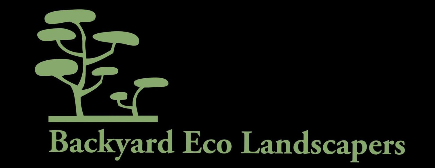 Backyard Eco Landscaping