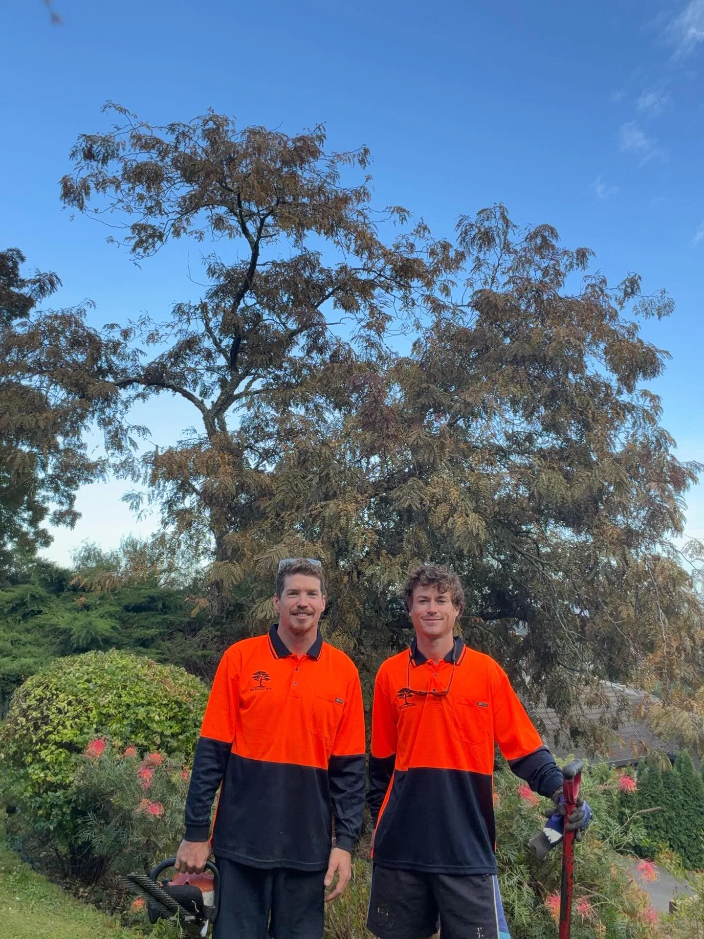 The Backyard Eco team offering Hedge Trimming in Hawke's Bay