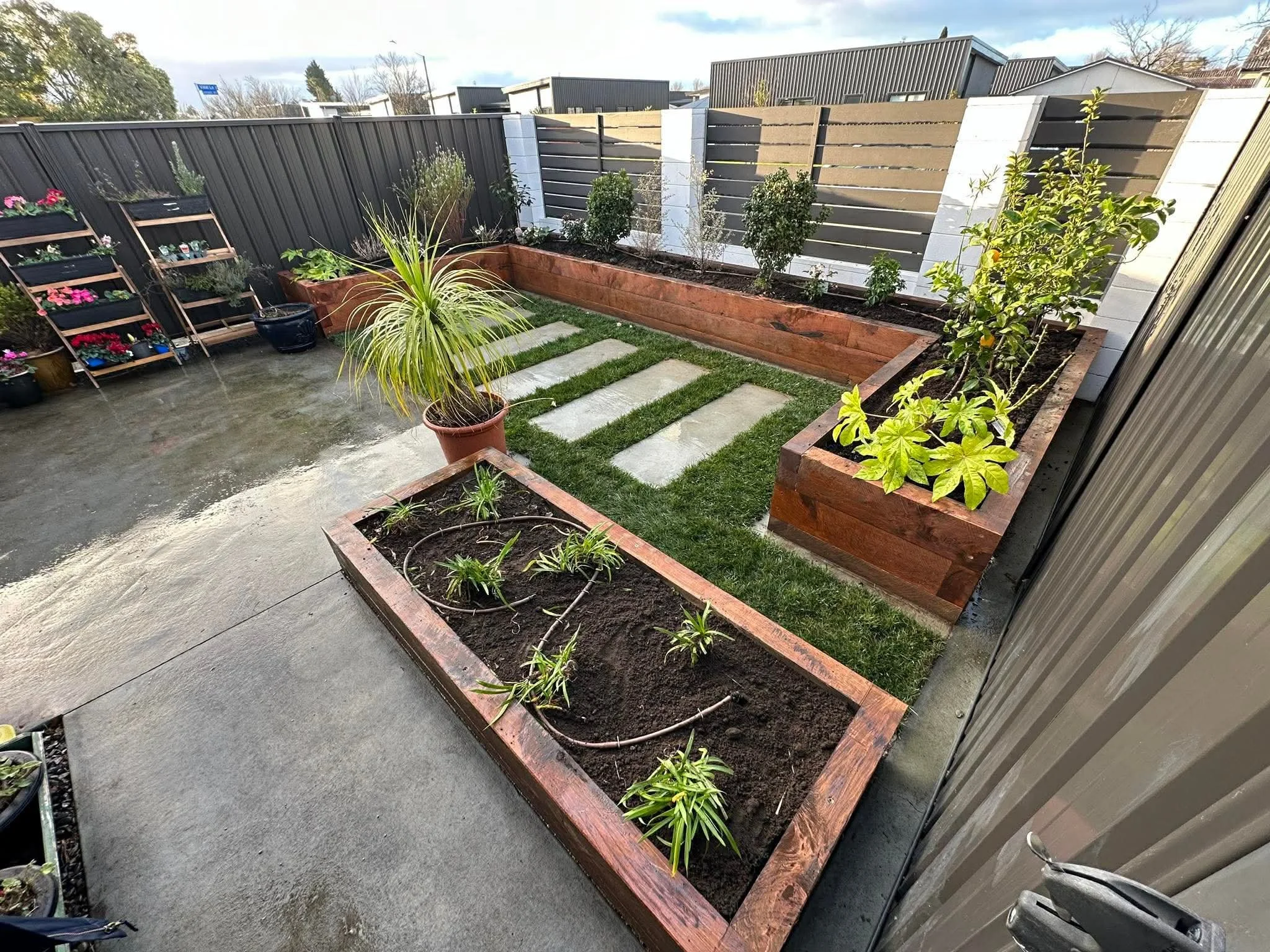 Residential landscaping project in Hawke’s Bay featuring paving, planter boxes, and garden planting