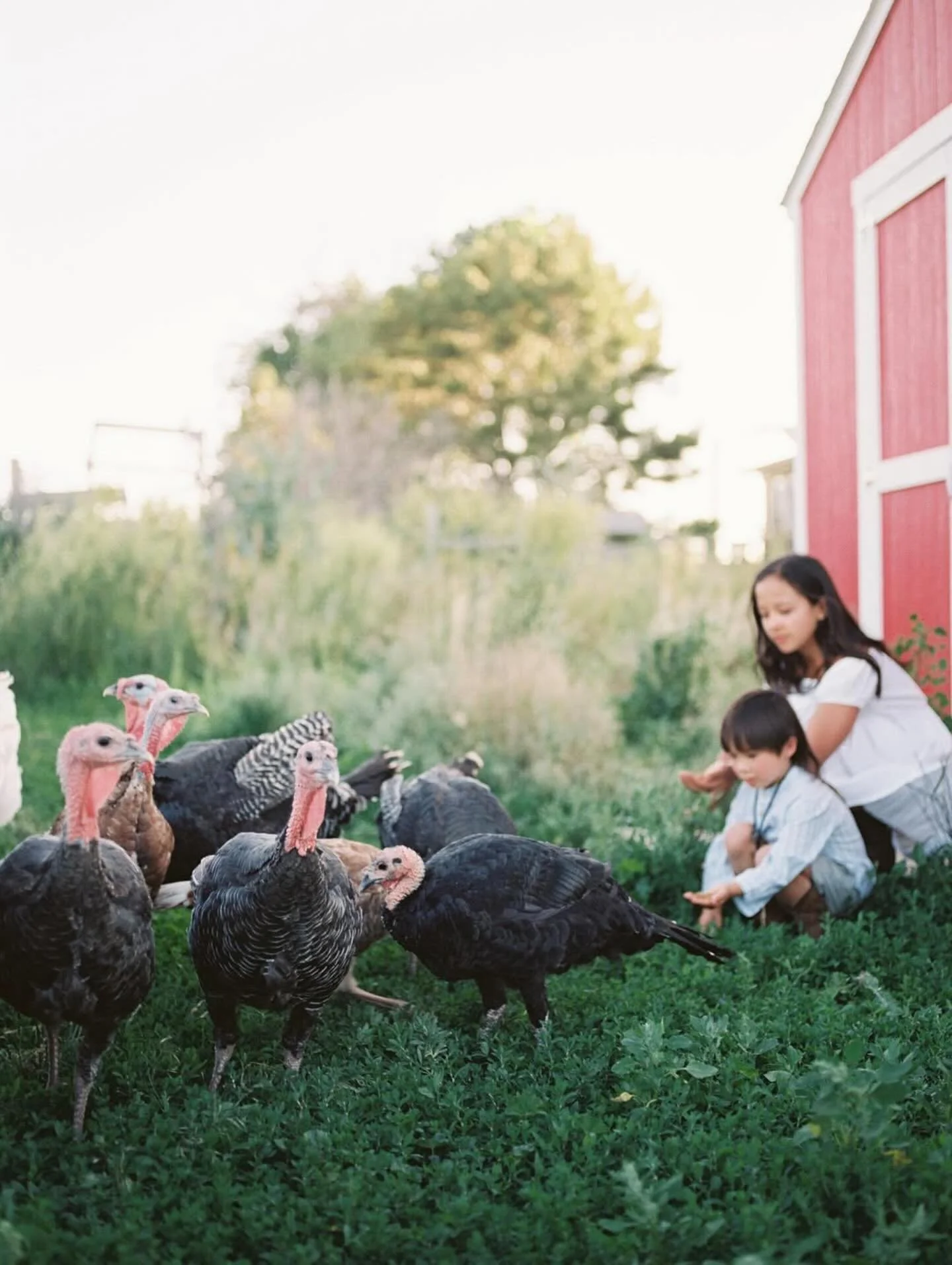 It&rsquo;s Turkey Day! Wishing you and yours the happiest Thanksgiving! 🧡

Beautiful photos captured by @blauren.photography 🎞️