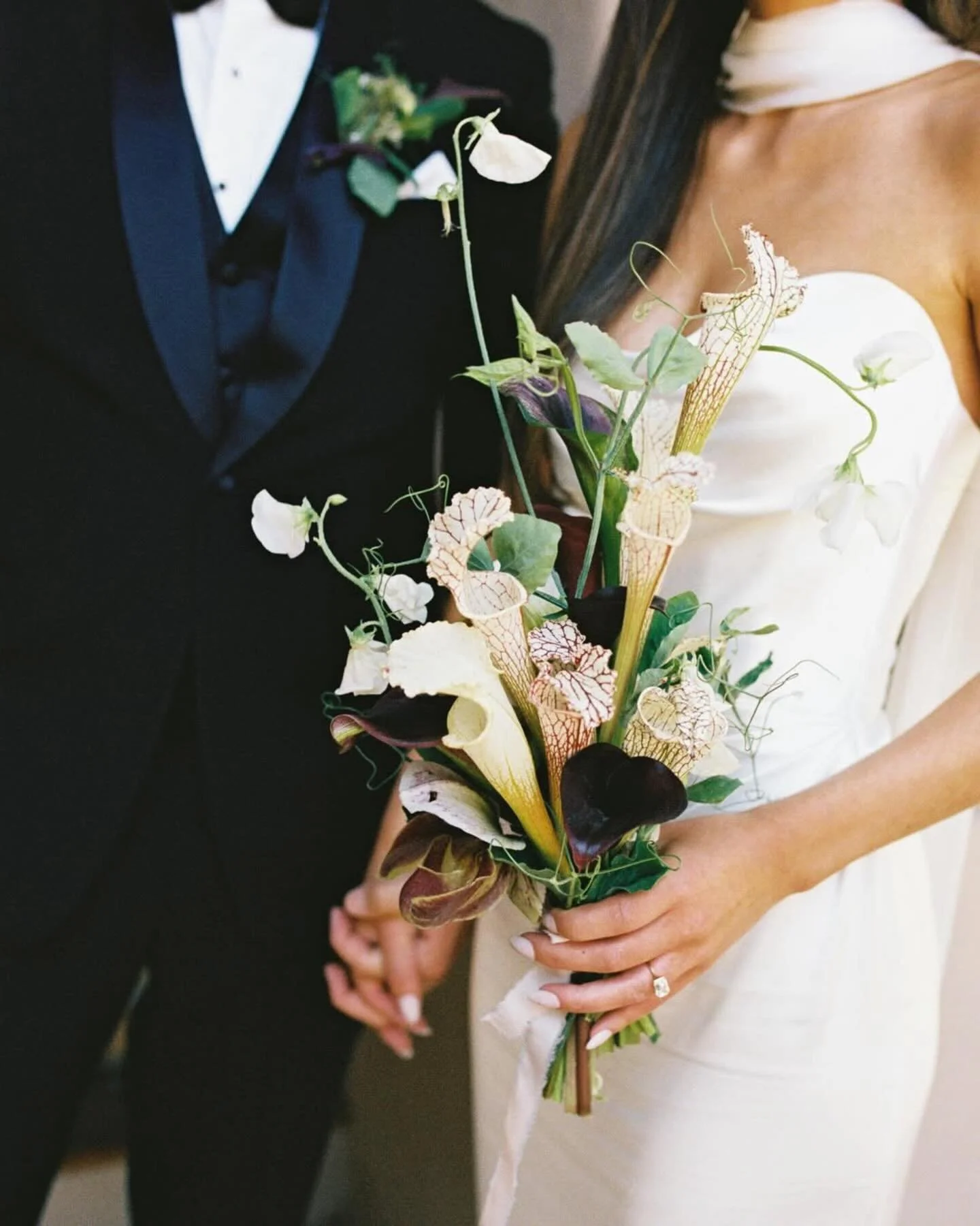 Captivated by the textures and details in this beautiful film collection from the amazing @klauivaradi 🎞️