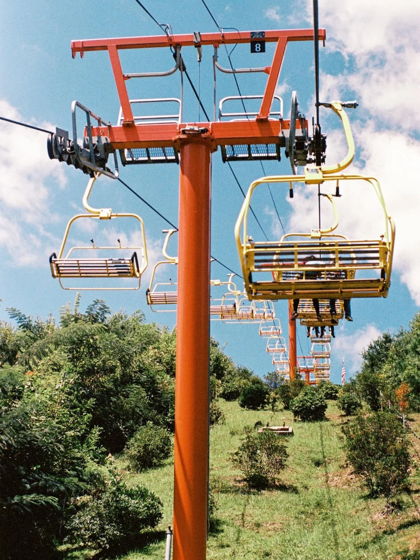 A view made even better by these amazing colors 😍captured by @stephwahlig on #portra400 🎞️