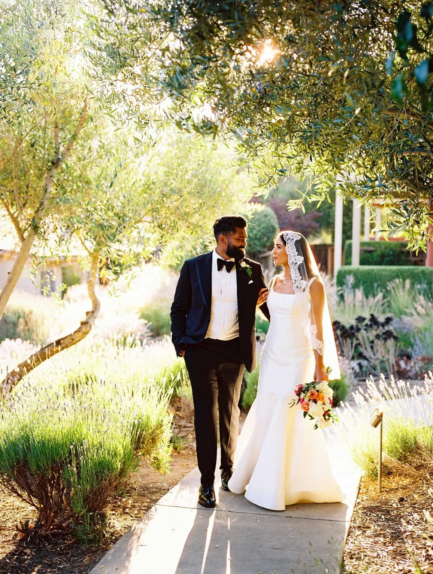 When the light hits just right ✨ Stunning shot captured by @acopleyphoto 🎞️