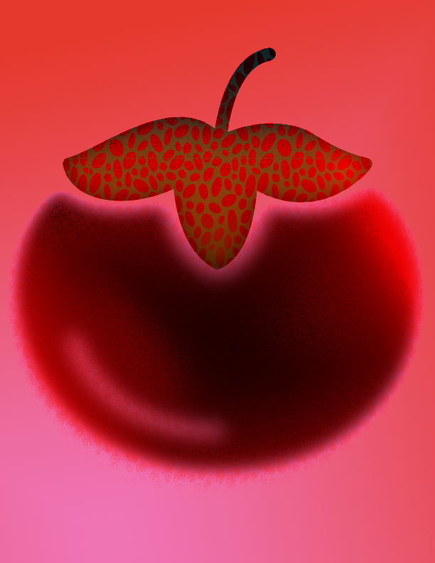 Why a CSA Is the Most Important Subscription You Can Have