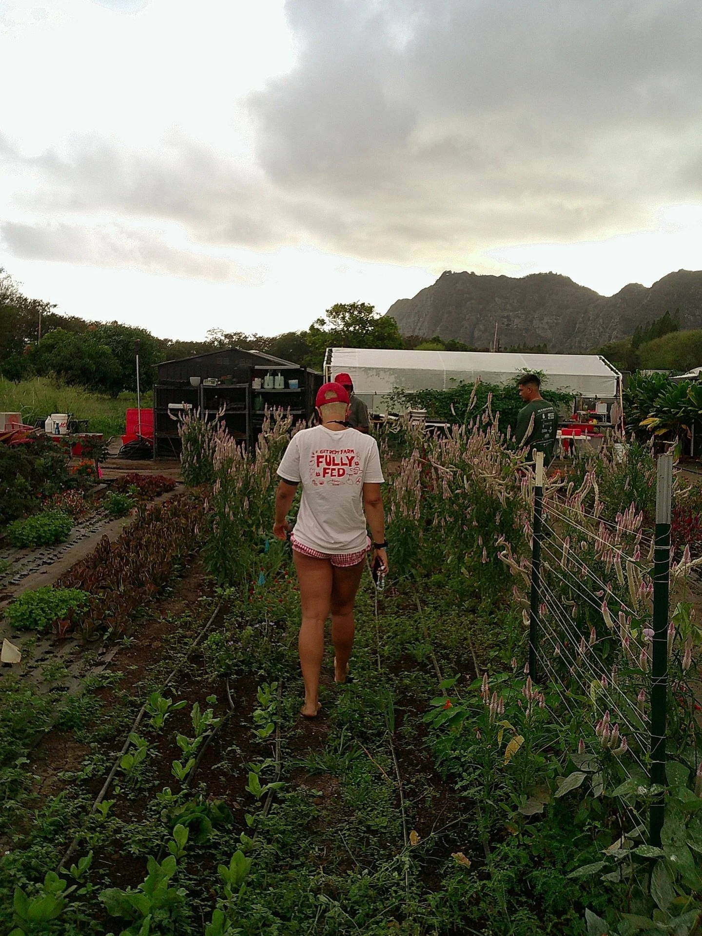 You don't need to spend the ENTIRE day looking at a screen. 

Join us Sunday AM. 
More details on the site. 
getredyworld.com