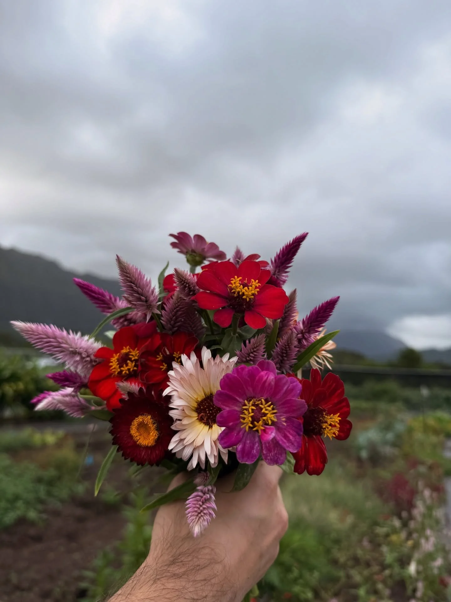 Ngl, it&rsquo;s been hard to even think about anything with everything happening right now. The overwhelm is intentional. Flood the senses. Disrupt the nervous system. Keep people distracted and depleted. It&rsquo;s less about politics and more about