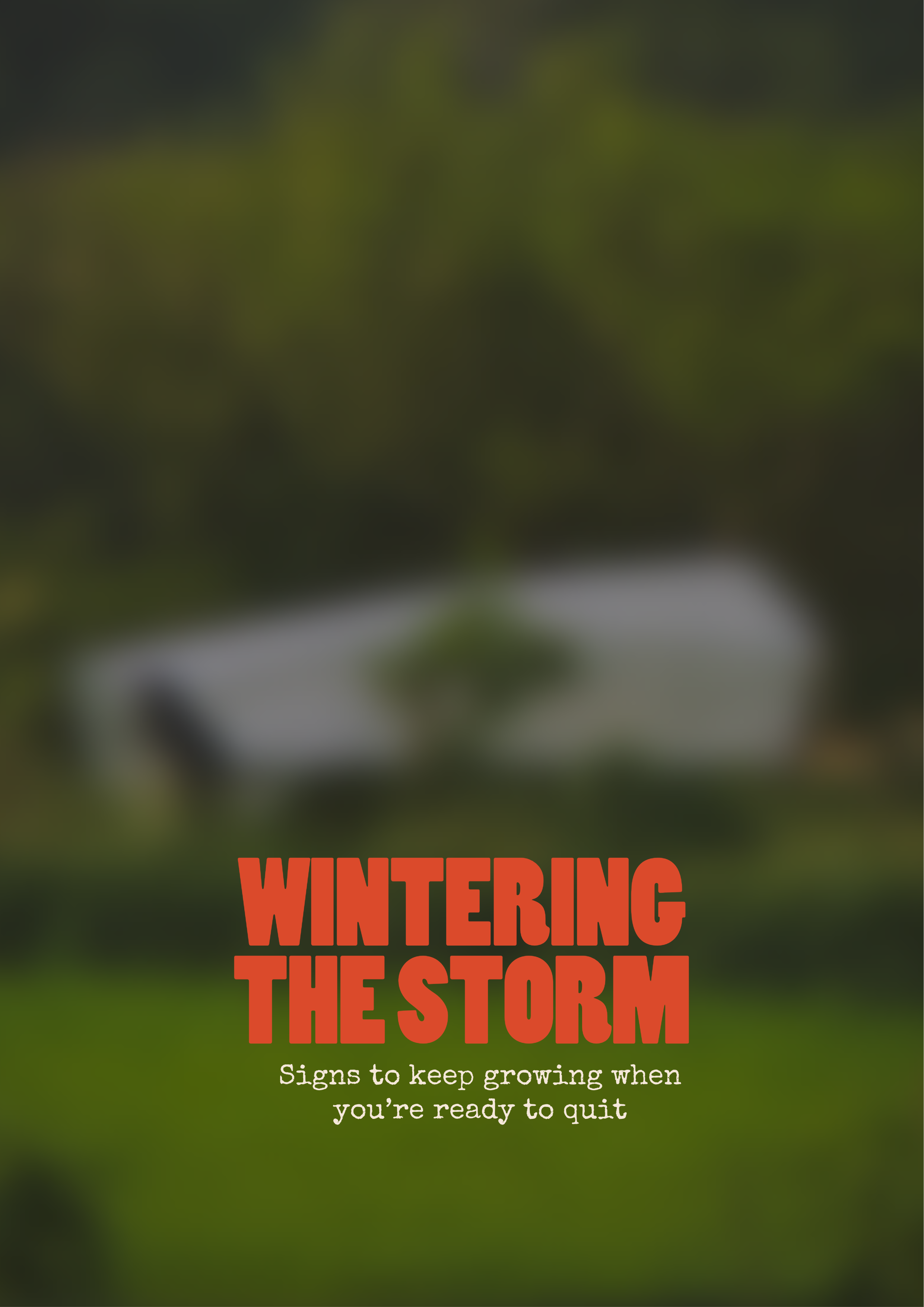 Wintering the storm