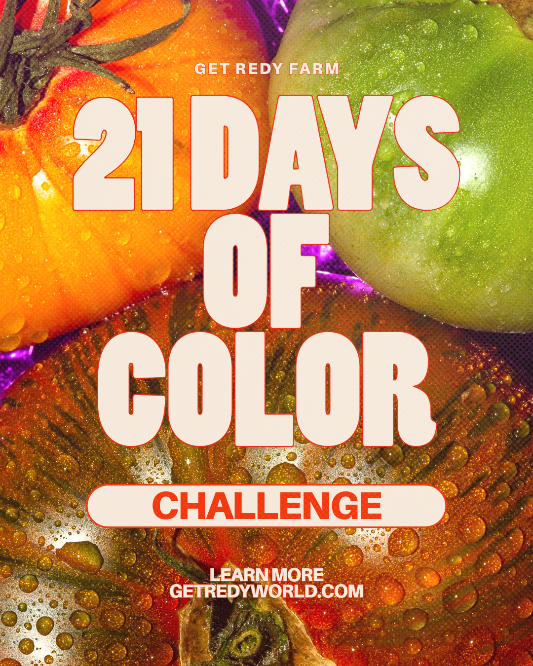 21 DAYS OF COLOR