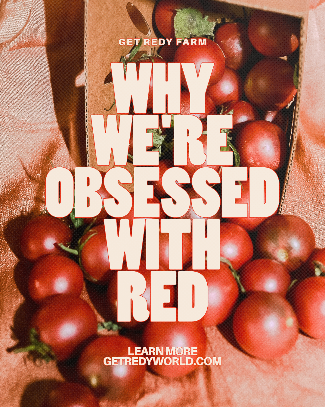 WHY WE’RE OBSESSED WITH RED 