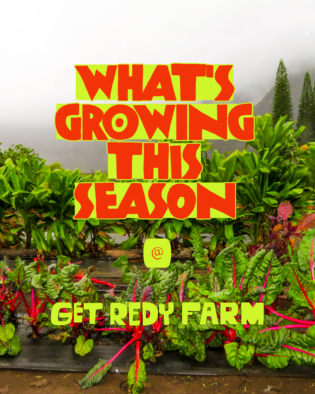 What’s growing this season
