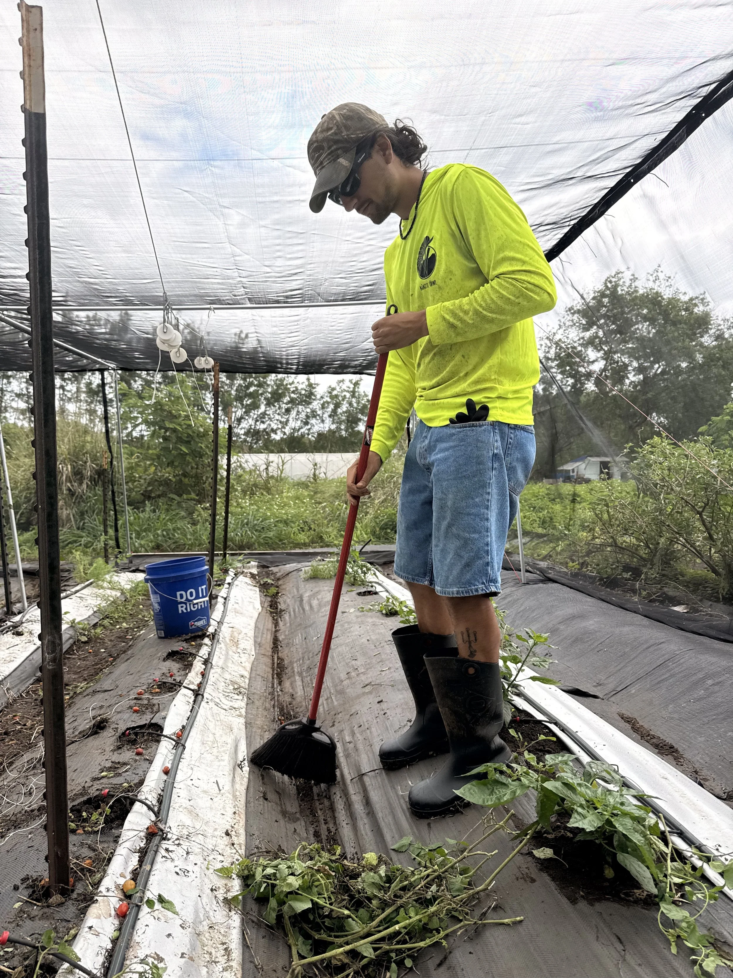 getredyfarm_askvash_smallfarm_hawaii_volunteerday2.jpeg