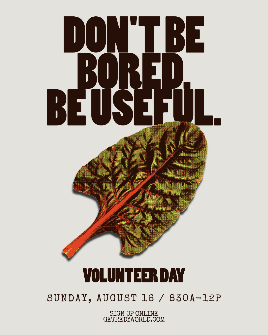 Volunteer Day 
