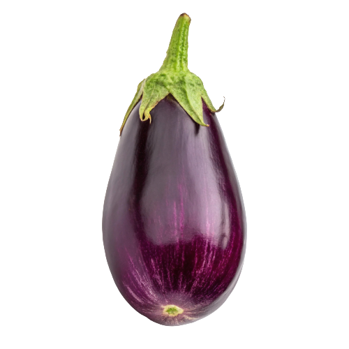 Orient Express Eggplants