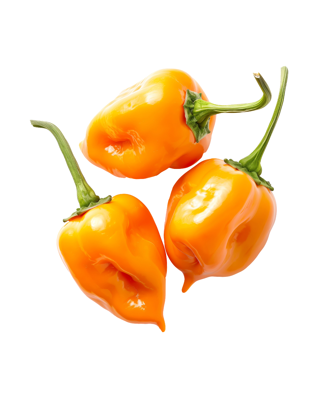 Helios Peppers