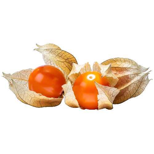 Poha berries (ground cherries)