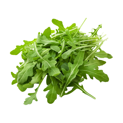 Arugula