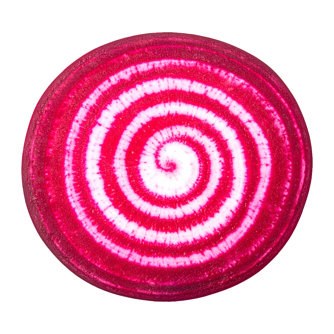 Chioggia Beets
