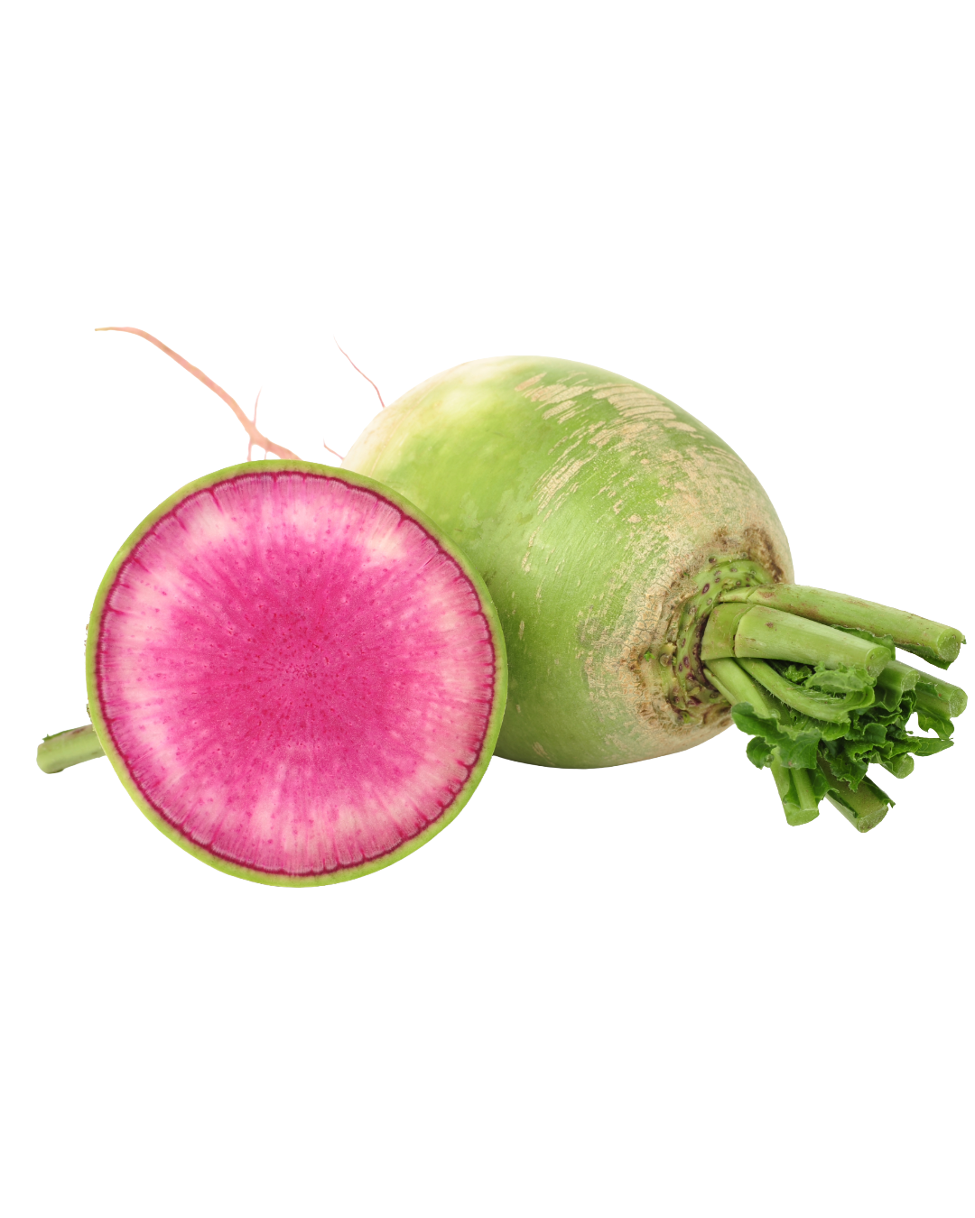 Red Meat Radish 
