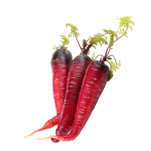 Red carrots