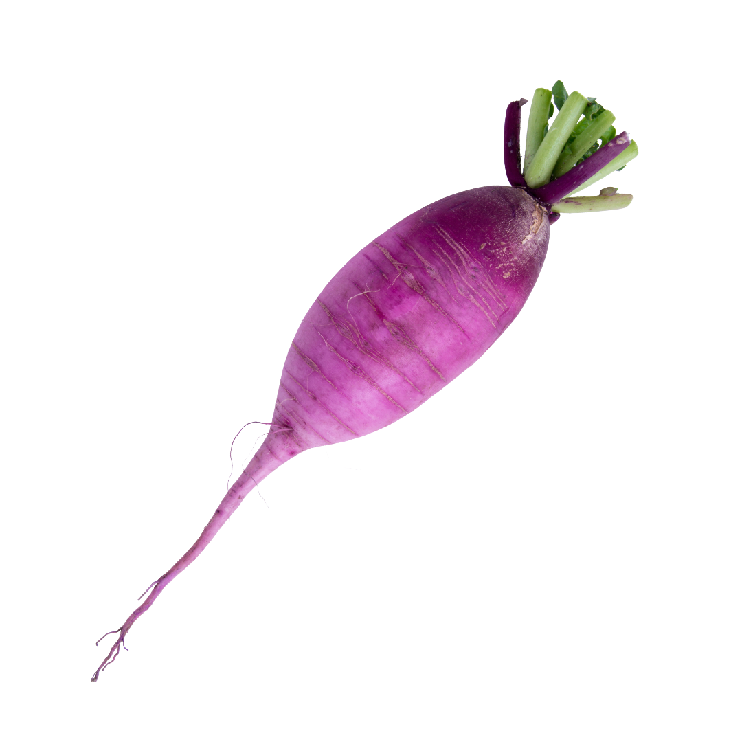Bravo daikon