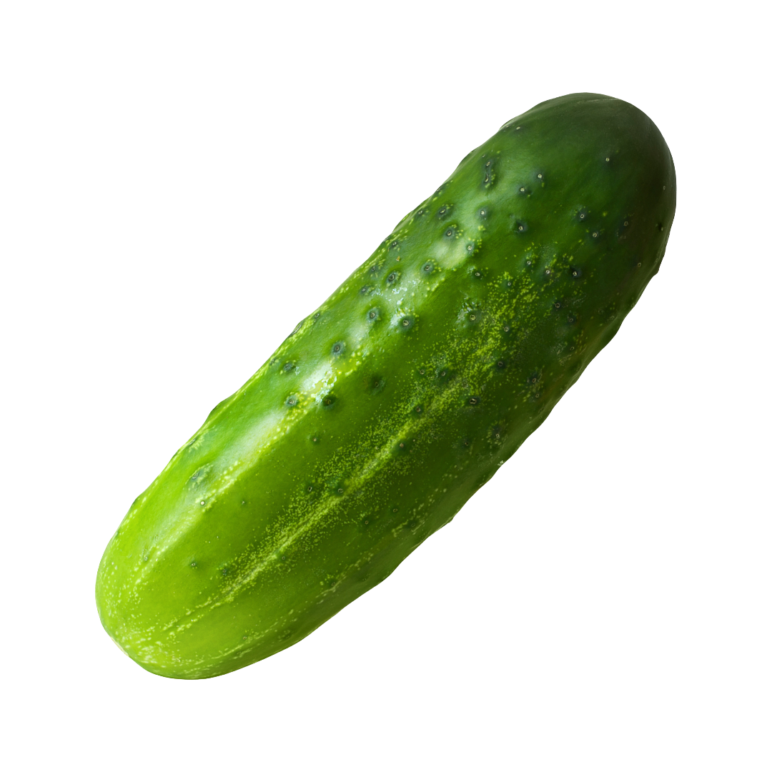 Sashimi cucumbers