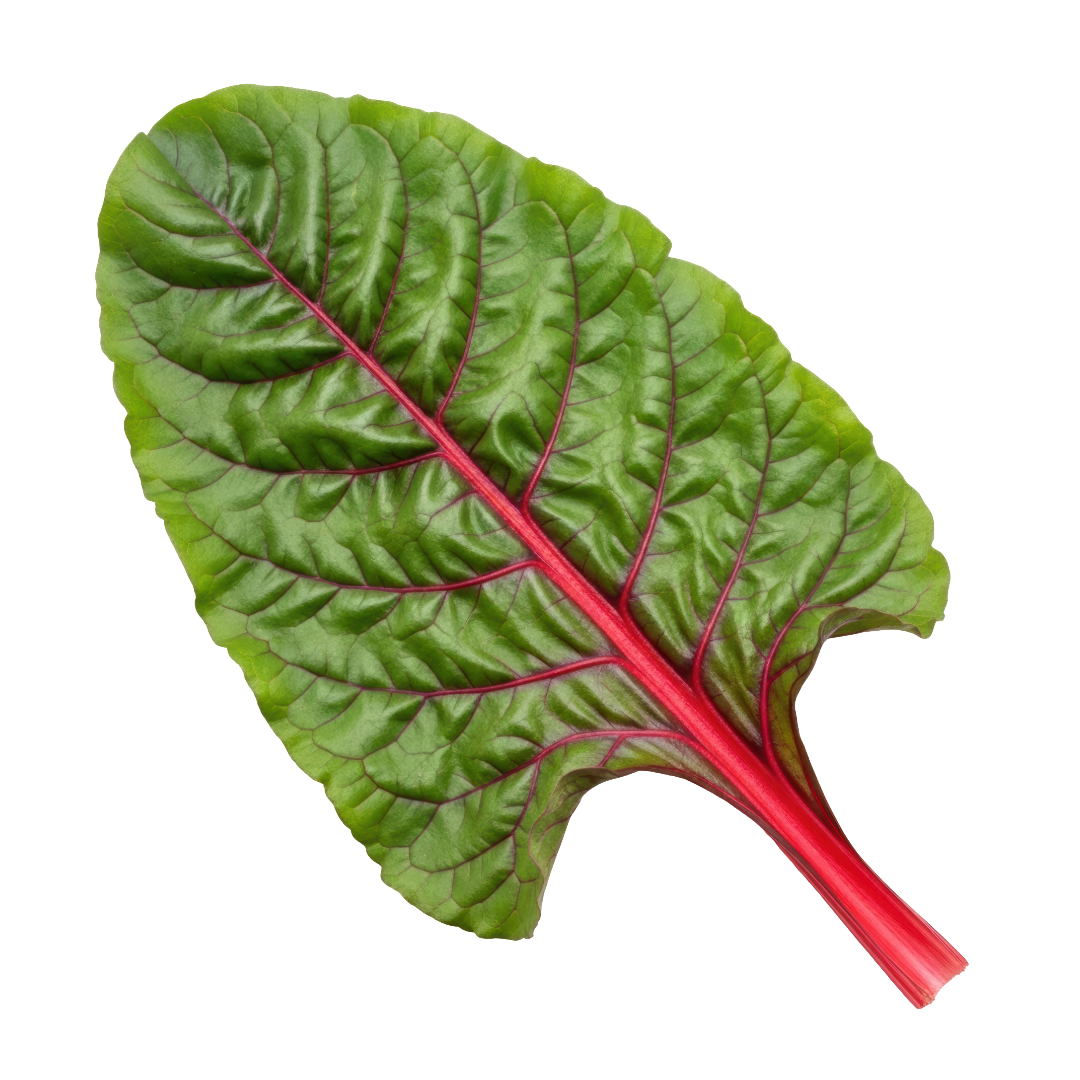 Charbelle Chard