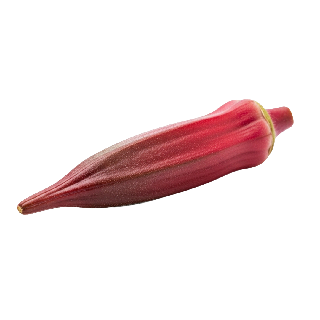 Red Okra 