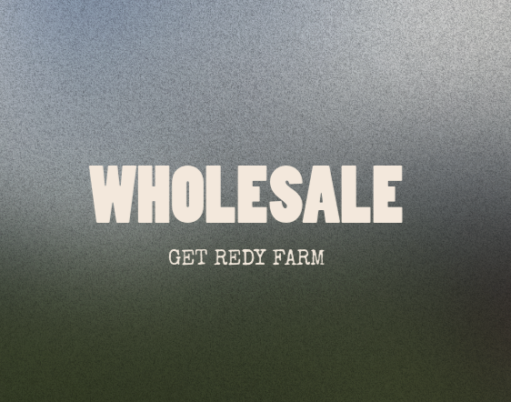 Fall 2026 Wholesale Availability