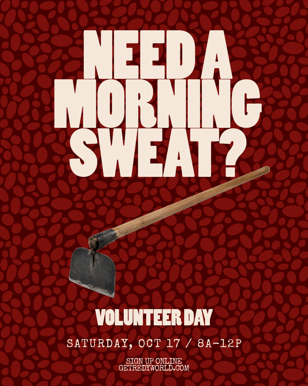 Volunteer Day 