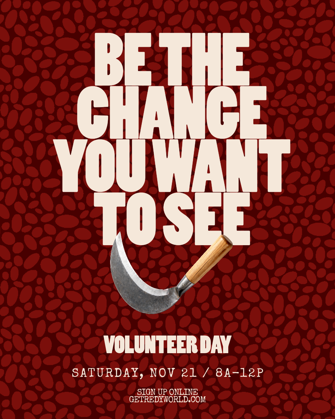 Volunteer Day 