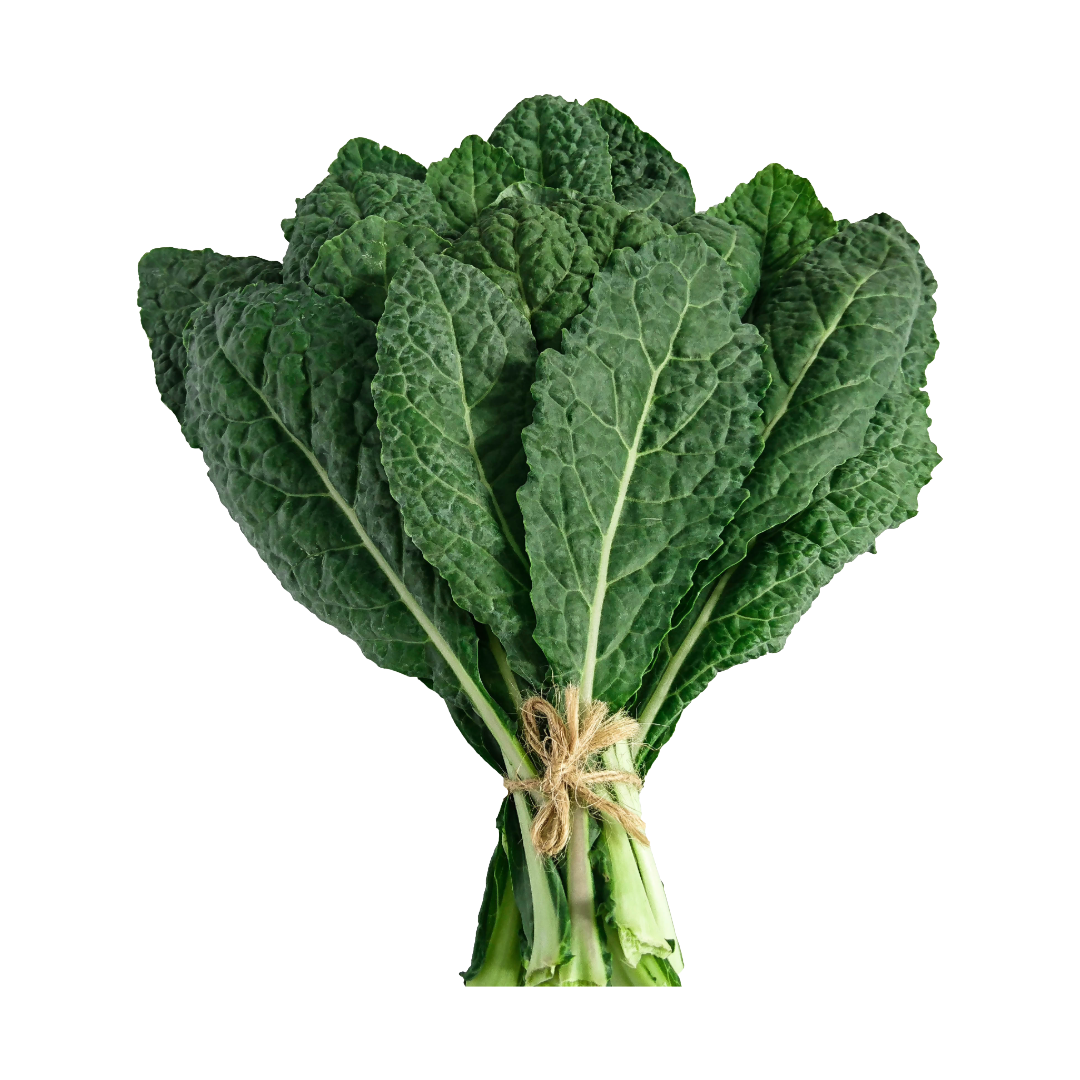 Black Magic Kale