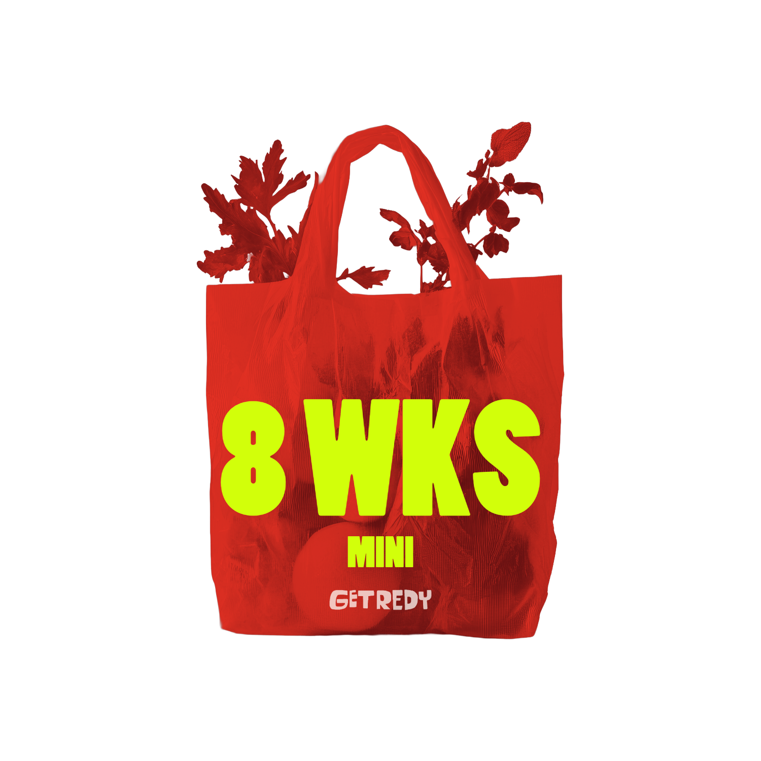 Untitled-32 (10).png