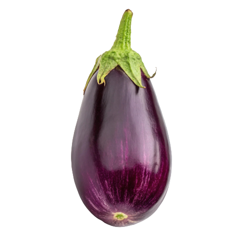Orient Express Eggplants
