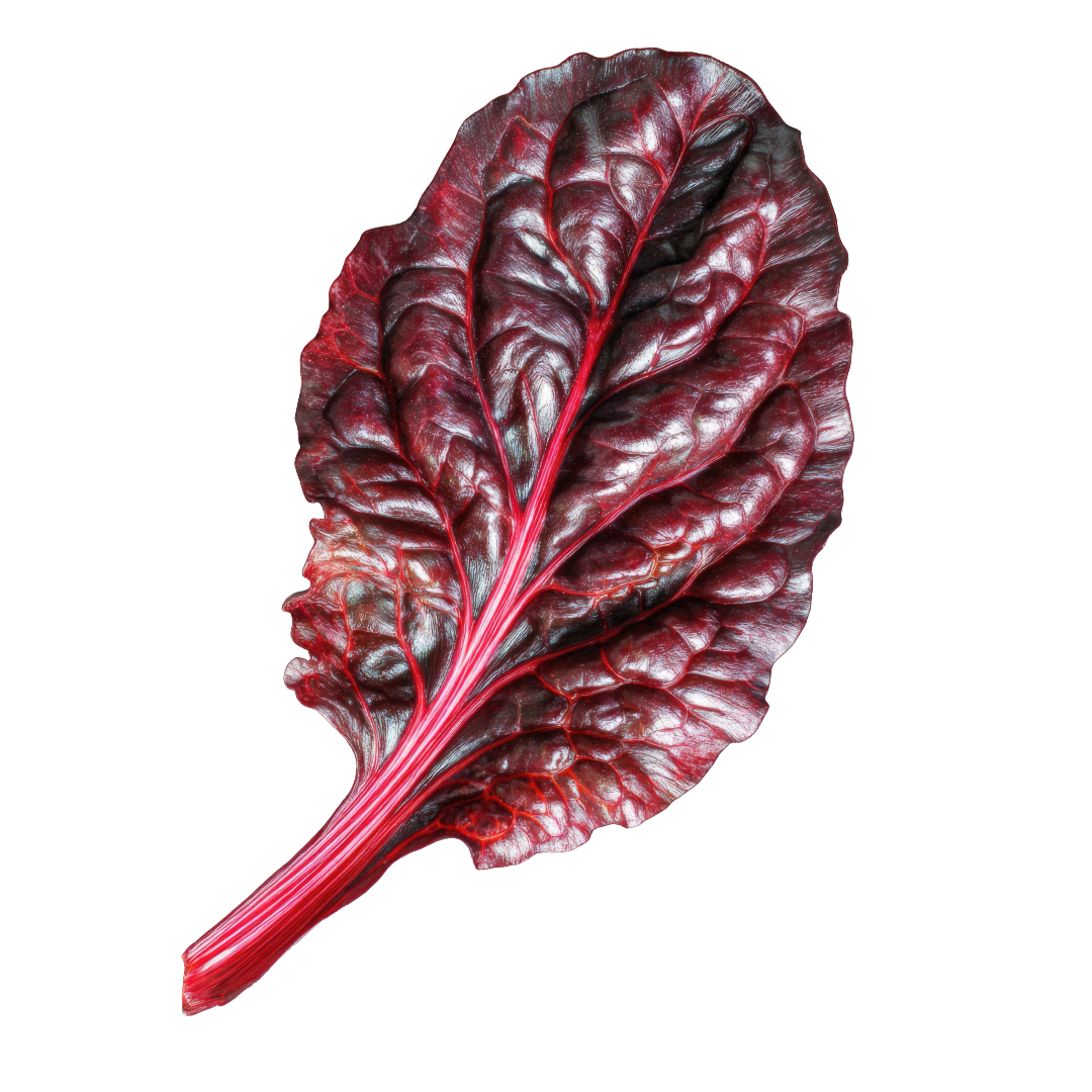 Firebird Chard
