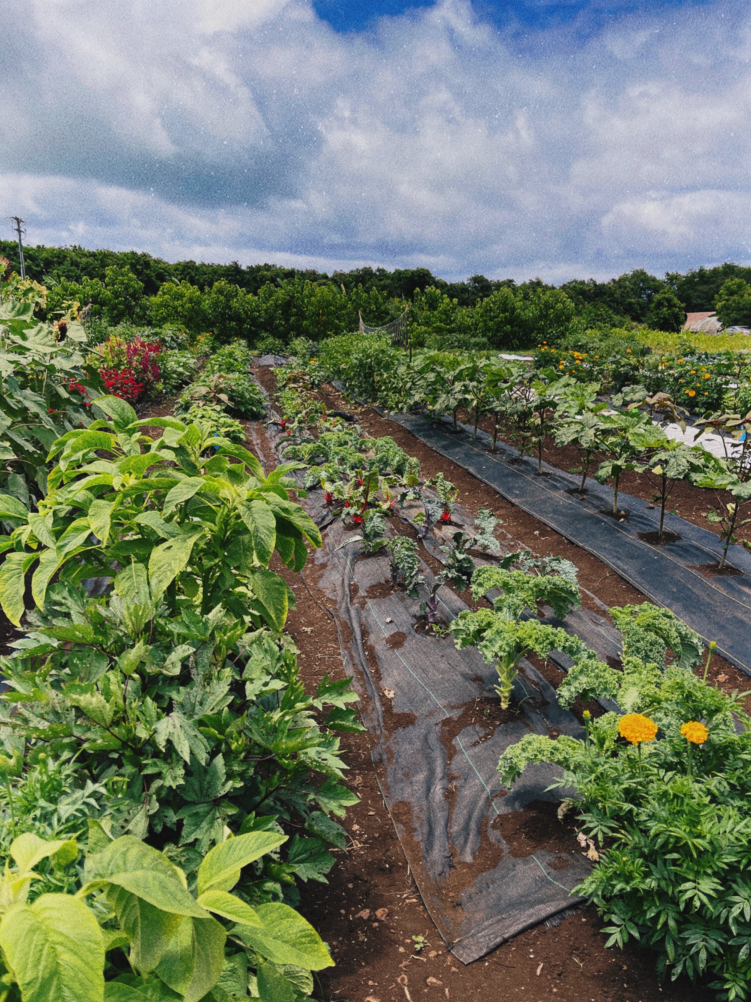 Private Farm Workday