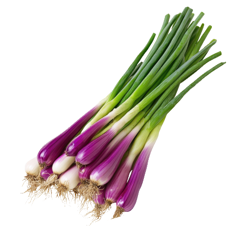 Deep Purple Green Onion