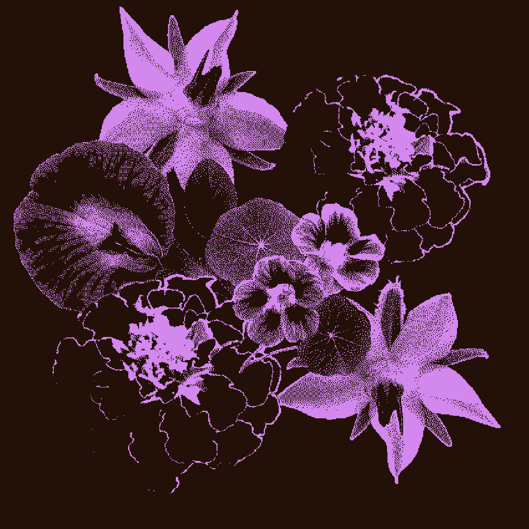 Get To Know our flowers