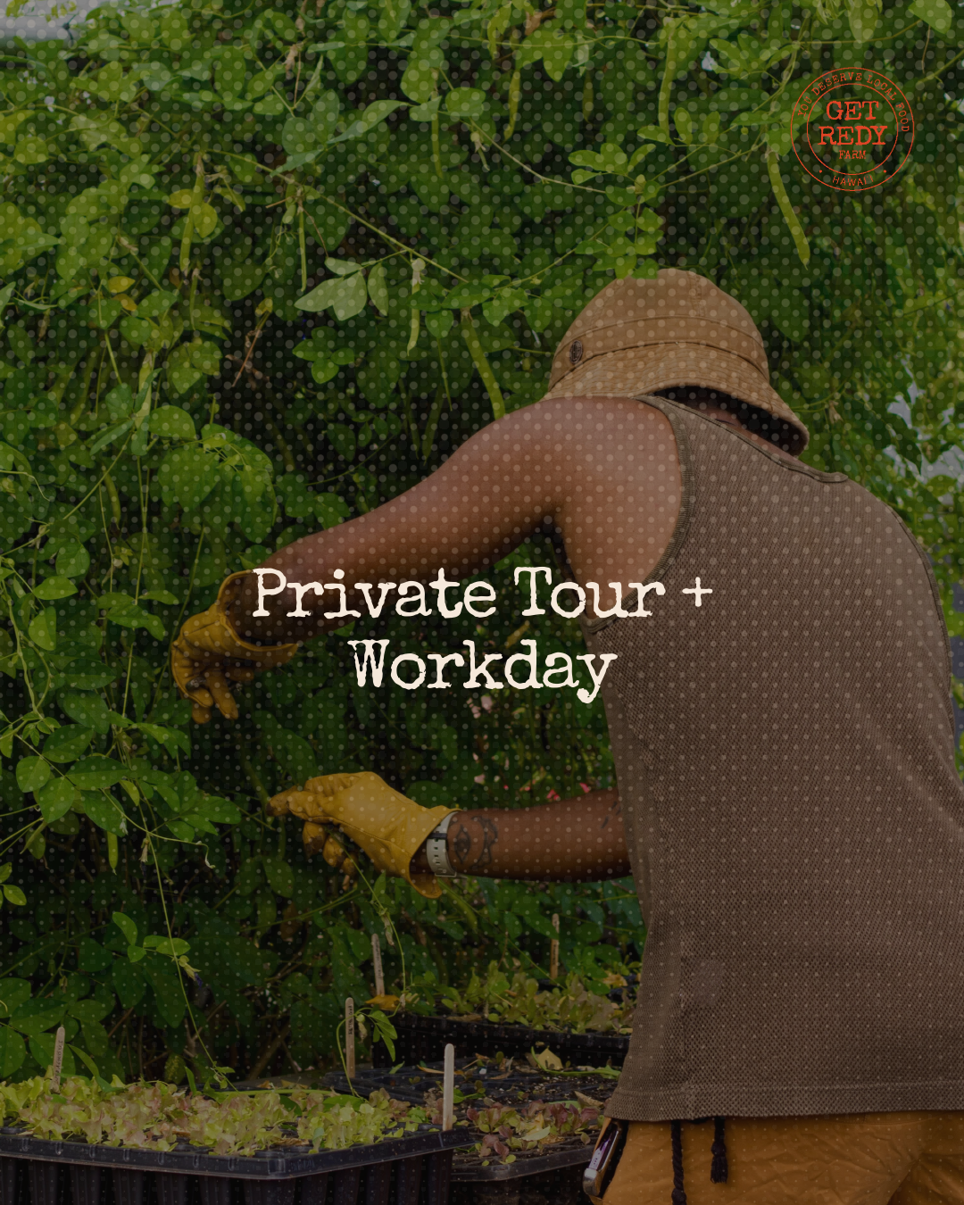 Private Tour + Workday