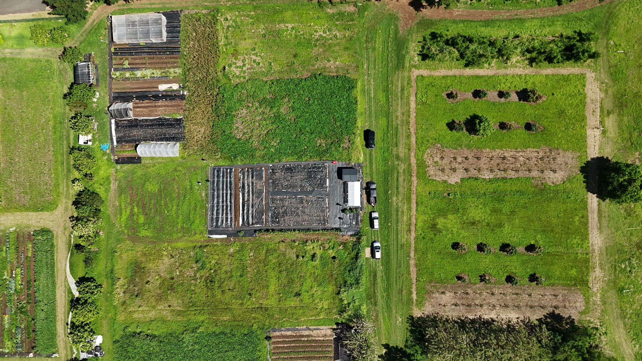 dji_fly_20250302_111536_0043_1741025186936_photo.JPG