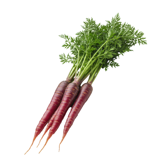 Purple  Carrots