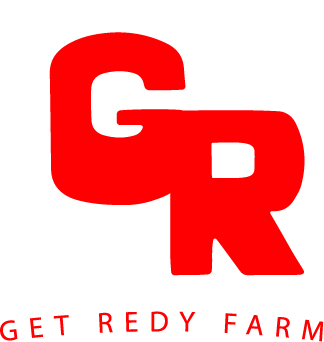 Get Redy