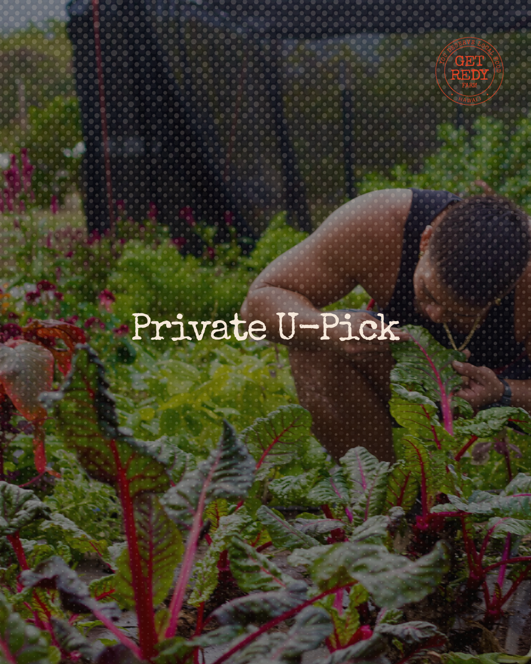 Private U-Pick Experience