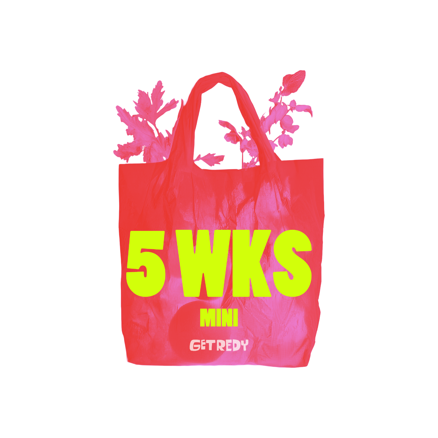 Untitled-32 (11).png