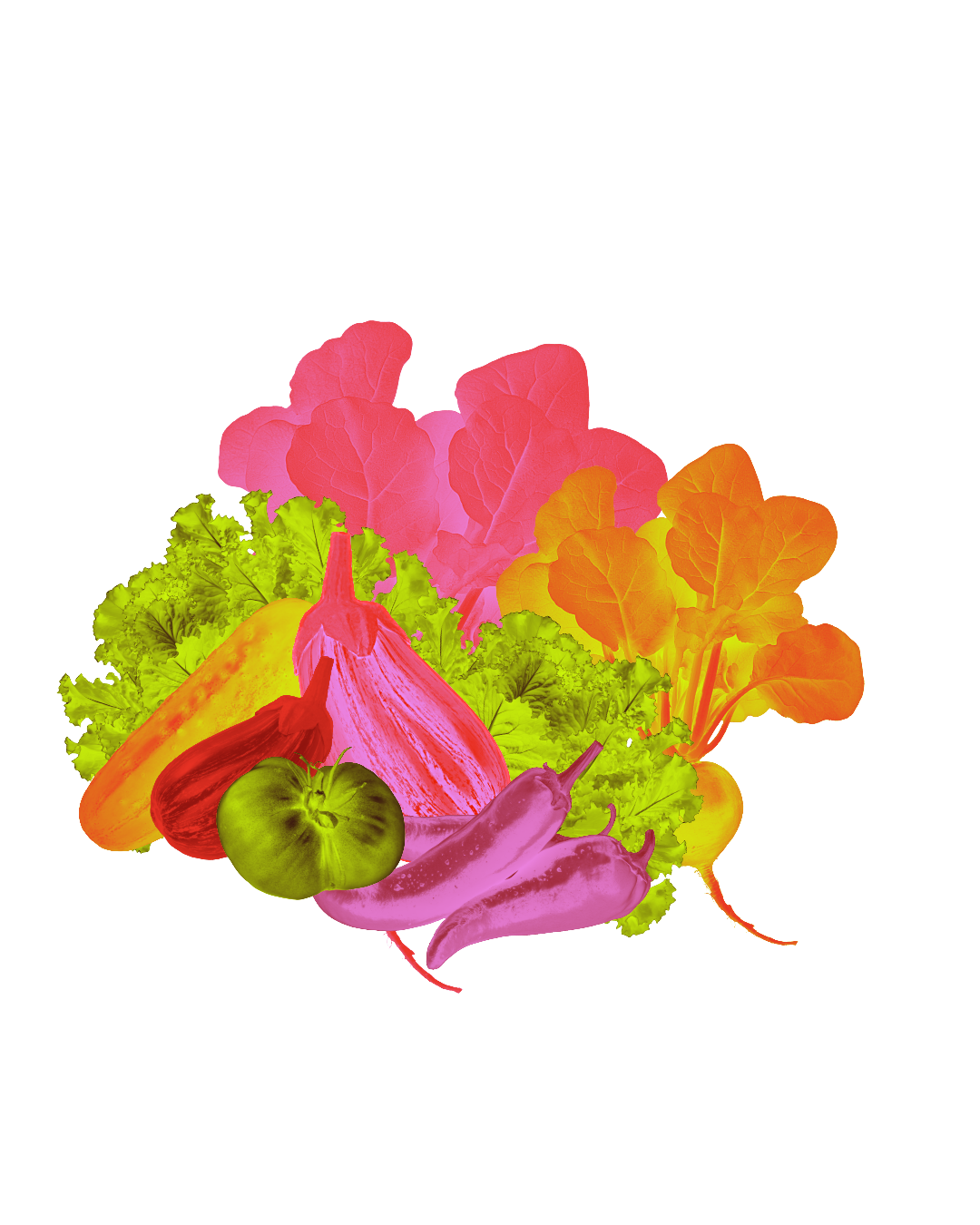 GET REDY GRAPHICS-33.png