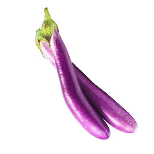 Dancer Eggplant